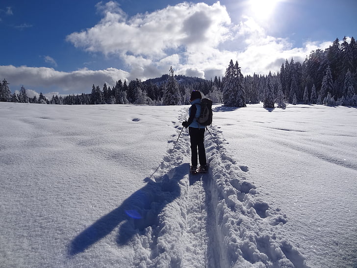 hó, Snow cipő, nyomkövetési, nap, téli, sport, természet