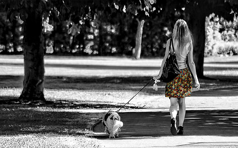 girl, dog, walk, park, color, path, trees