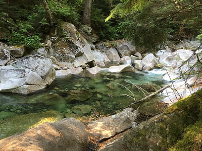 river, creek, nature, water, forest, landscape, stream