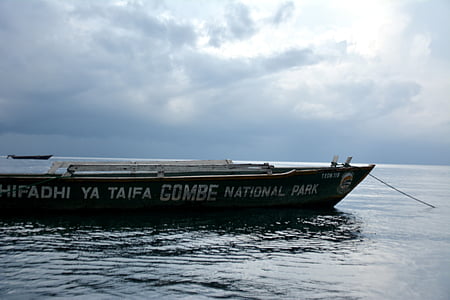 barco, Tanzânia, paisagem, Lago