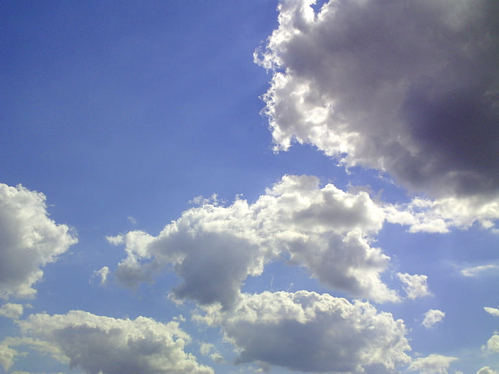 nube, Cumulus, cielo, azul, soleado, día soleado, nube Cumulus