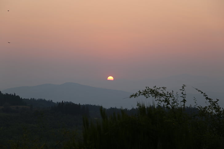Sunset, Sun, Luonto, Metsä, puu, maisema, Mountain