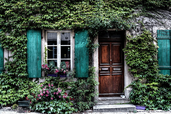 ivy, facade, house, belgium, door, windows, shutters