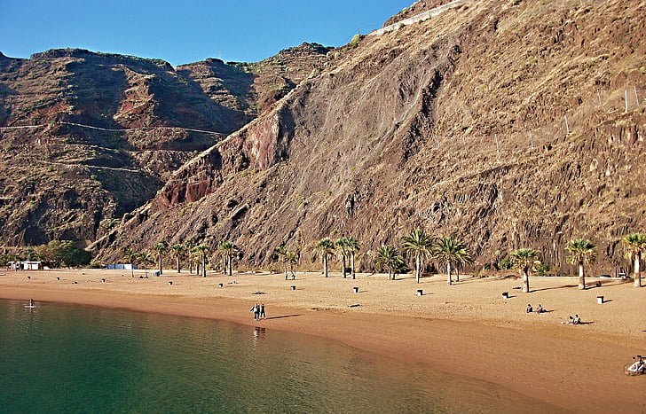Playa, árboles de Palma, Tenerife, Atlántico, Teresitas, Santa cruz, anagagebirge