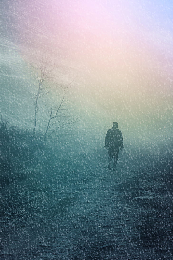 man, human, person, fog, snowfall, lonely, hike