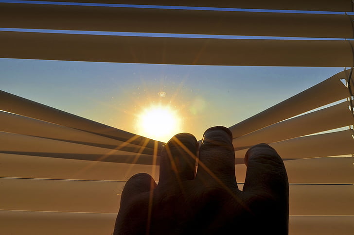blinds, roller shutter, open, gap, look, sun, morning