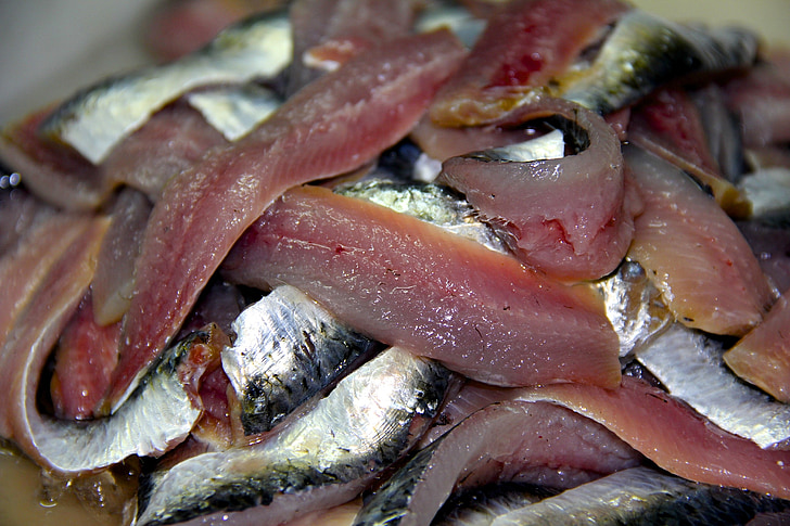 sardiner, netto, fiske