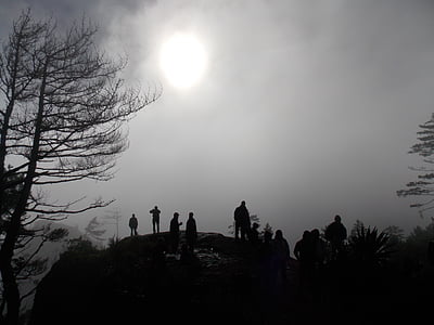Natur, Morgen, Nebel, Dawn, bewölkt, Silhouetten, Bäume