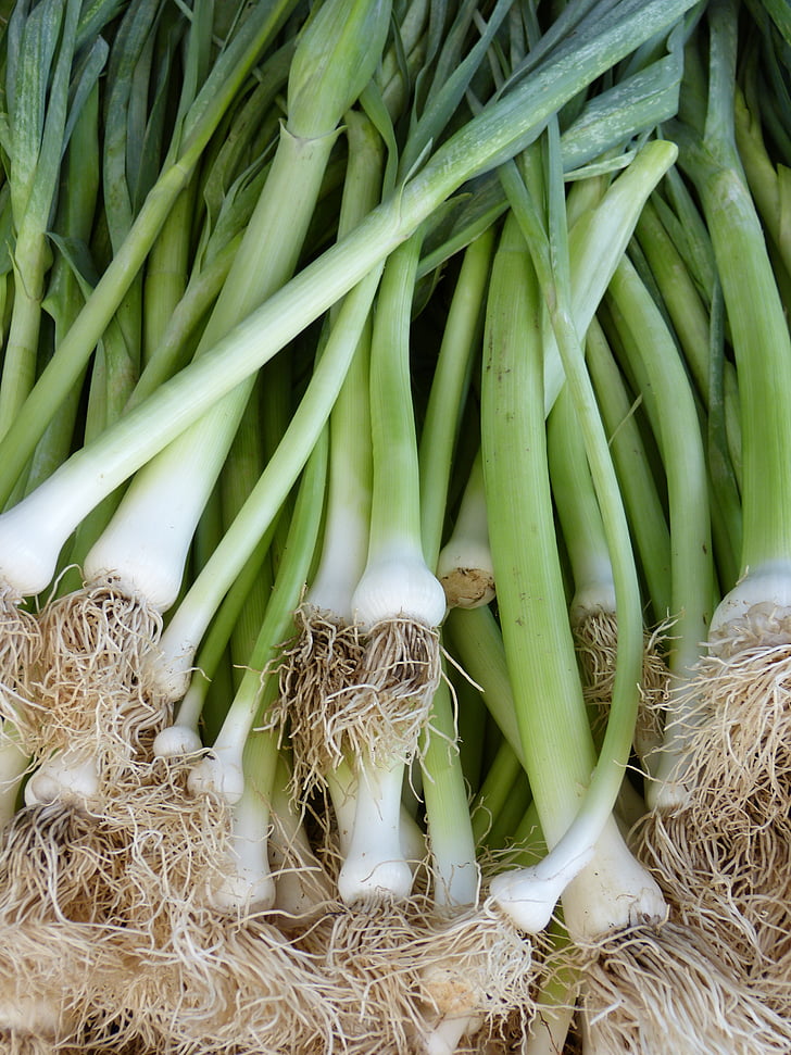leek, spring onion, food, market, vegetables, onion, healthy