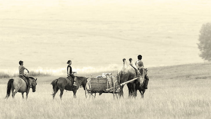 landscape, mongolia, bayan ovoo, camel wagon, horses, family, steppe