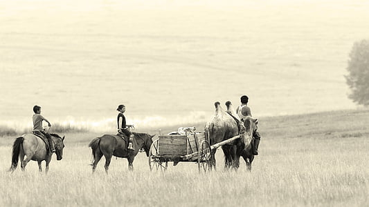paisatge, Mongòlia, Bayan ovoo, Vagó camell, cavalls, família, estepa