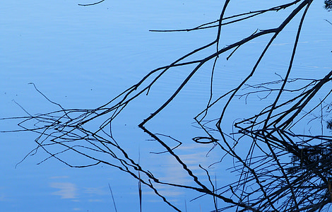 vode, grane, plava, kontrast, priroda, razmišljanja, jezero