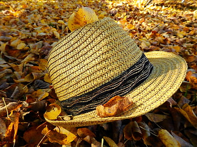 rudenį, lapai, šlapiame kelyje, drėgnas, rudens spalvos, Auksinis ruduo, širdies