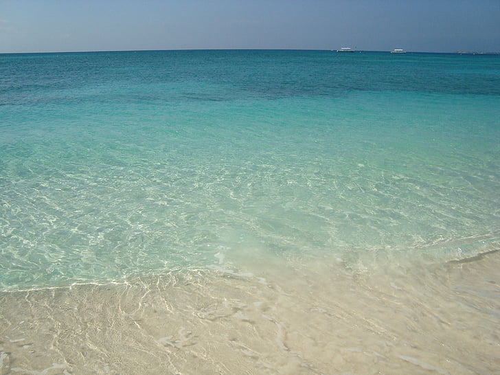 Grand cayman, pláž, Já?, voda, oceán, Krásné, svátky