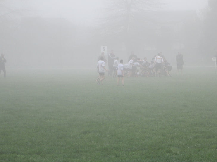 Rugby, niebla, jugando, muchachos, deporte, niños