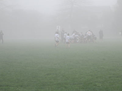 Rugby, tåke, spille, gutter, sport, barn