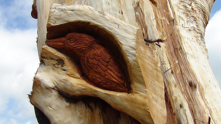 fusta, gravat, talla, ocell, arbre, trunck