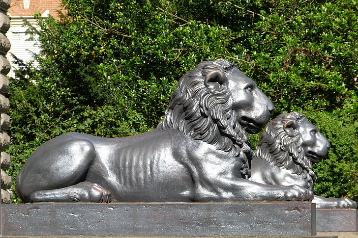 Leão, estátuas, Figura, bronze, soquete, estátua do leão, imposição de