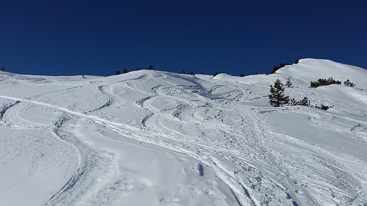 ski track, traces, snow, backcountry skiiing, ski, tour, winter sports