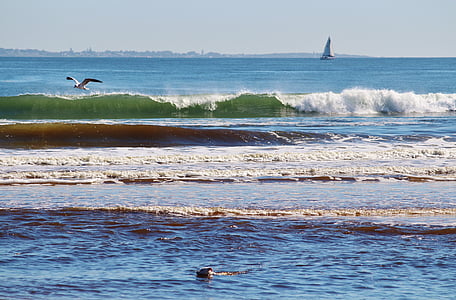 wave, beach, sailing boat, south africa, horizon, seagull, surf