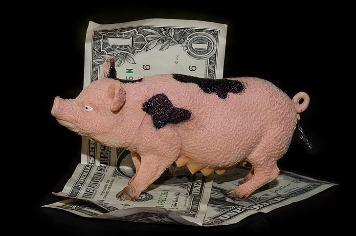 greedy, pig, money, cash, dollars, backlight, toy