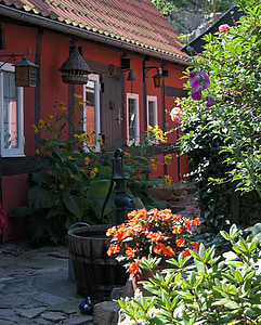 Bornholm, Danmark, gamle, huset, har, blomster, bindingsverk