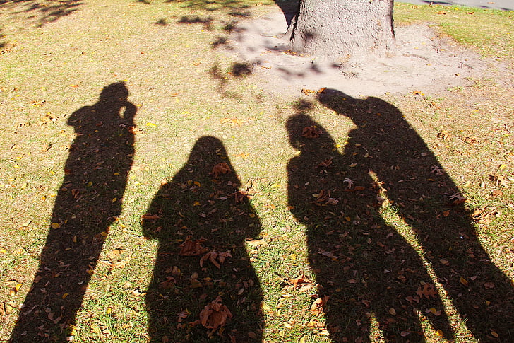 otoño, hermosa, amor, sombras, reflexión, amistad, Christchurch