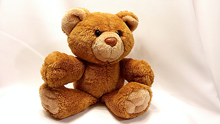 beruang, Teddy, mainan, Manis, lembut, coklat, hewan