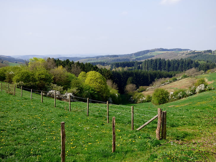 Landschaft, Dal, Luxemburg, Frühling