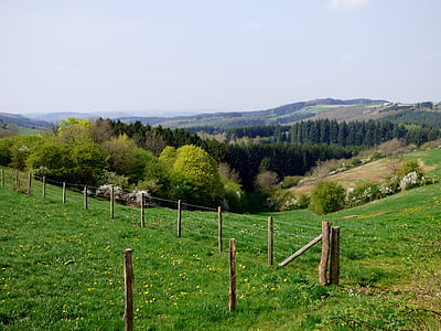 paysage, Dal, Luxembourg, printemps
