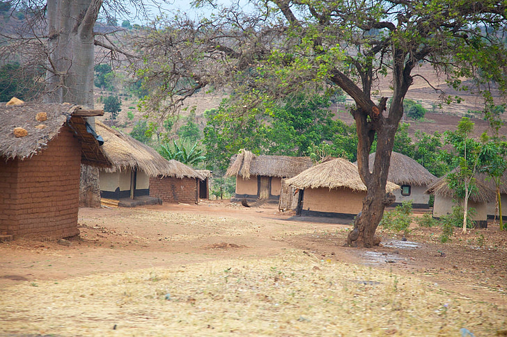Malawi, Afrika, byn, hyddor, bostäder, halmtak, lera