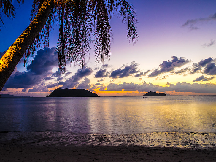 sunset, palm, beach, sea, nature, island, summer
