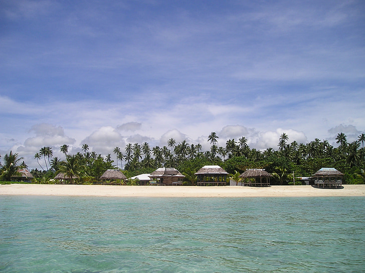 palmer, stranden, vacker strand, sand beach, Samoa, exotiska, South sea
