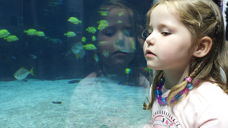 girl, child, fish, reflection, aquariam, kid, childhood