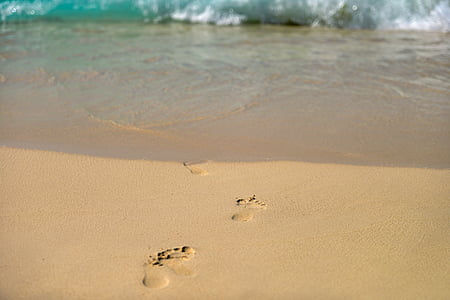 beach, children, footprint, holiday, kid, salt water, sand