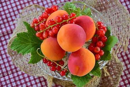 apricots, currants, fruit, stone fruit, sweet, delicious, healthy