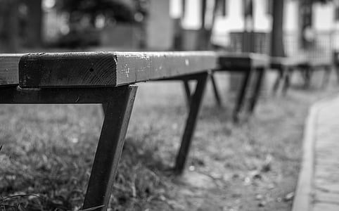 bench, laiček series, black and white, park, texture, details, travel