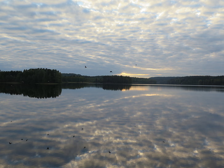 ezers, atspoguļojot, vakarā, kluss, daba, Somija, ainava