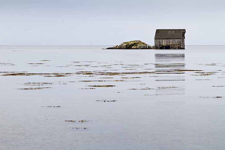 brown, black, wooden, building, middle, sea, house