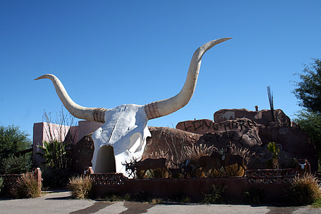 fonolocalizador de bocinas grandes, Arizona, Southwest, ganado, Blanco, vaca, cráneo