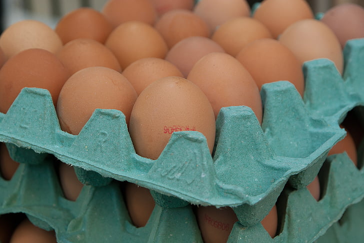 eggs, market, hens, egg carton, egg, food and drink, food