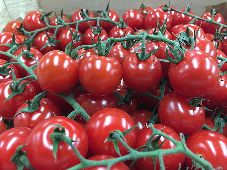 tomatid, punane, taimne, toidu, taimsed varisemine