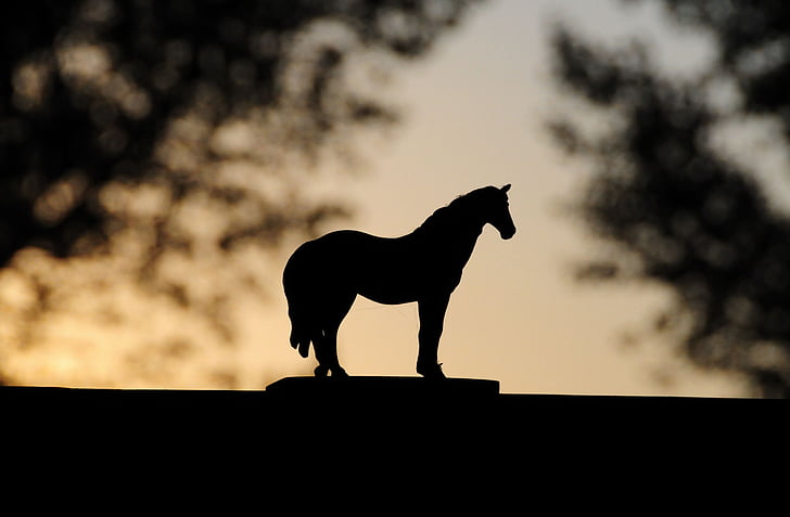 toy, horse, sunset, barn, animal, silhouette, nature