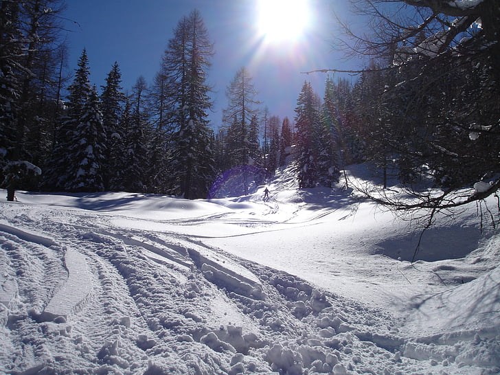 skiiing Splitboard, esquí de muntanya, esquí de muntanya, skitouren espectadors, Val d'ultimo, Tirol del Sud, Itàlia
