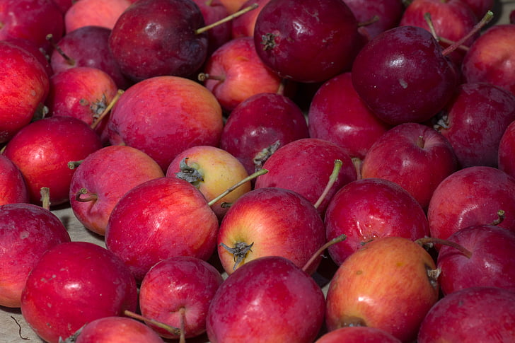 buah, Apple, merah, musim gugur, apel merah, buah-buahan, kios pasar