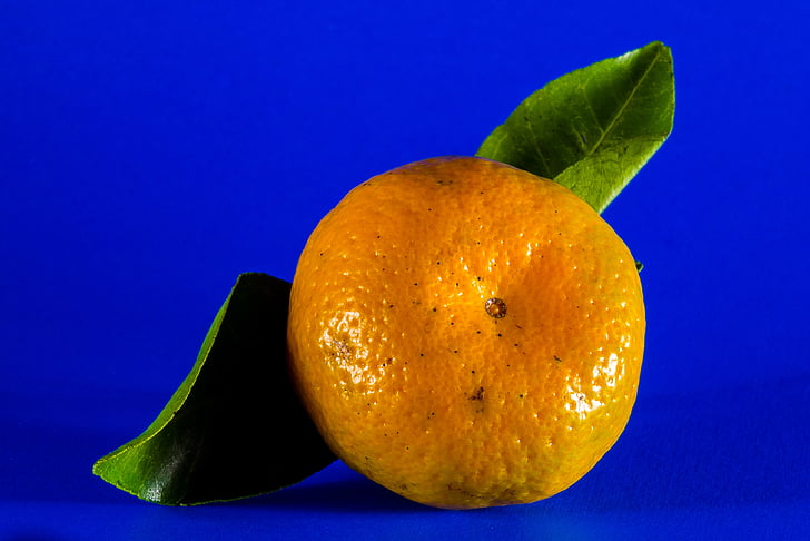 Orange, Mandarin, Zitrusfrüchte