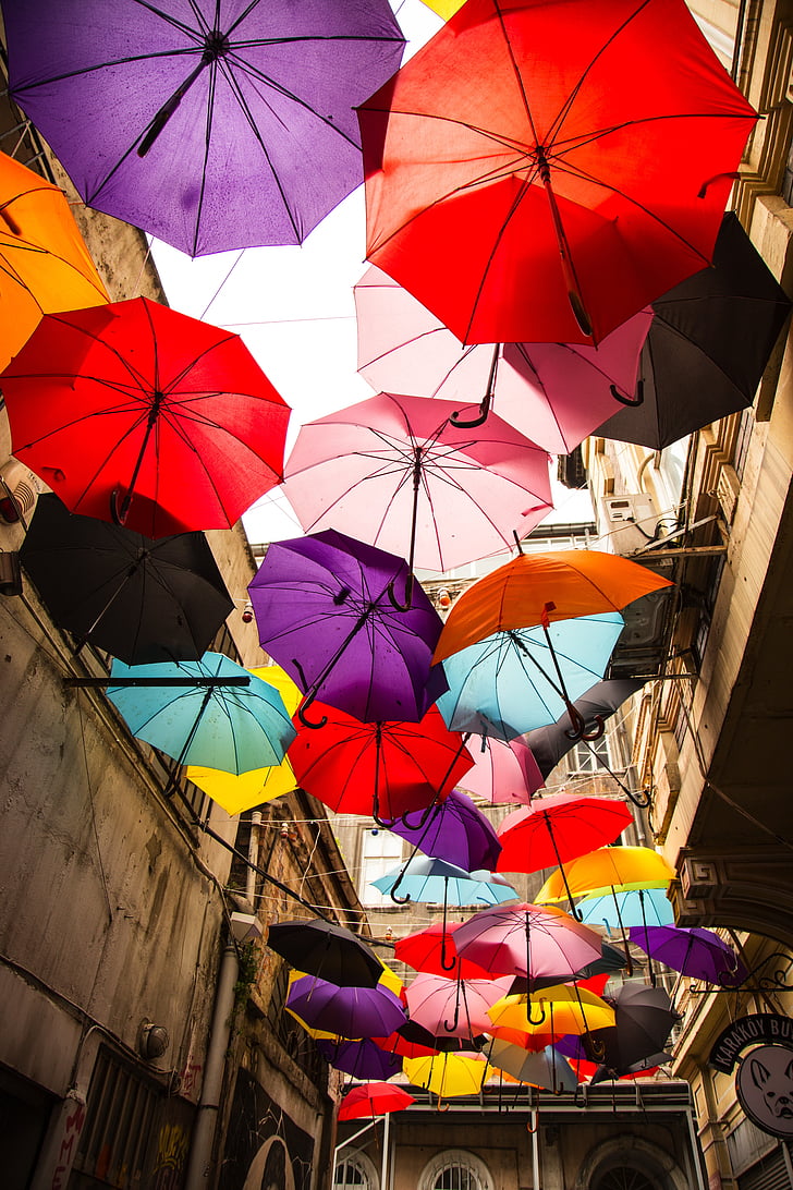 paraply, farverige, lykke, udendørs, regn, parasol, multi farvet