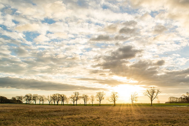 sunrise, sun, morning, nature, mood, skies, sky