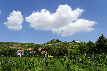 ciems, Radebeul, Saksija, vīna dārzi, Elbas ieleju, zilas debesis, mākoņi