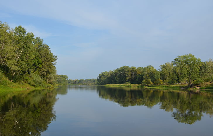 řeka, Les, Příroda, Samara, léto